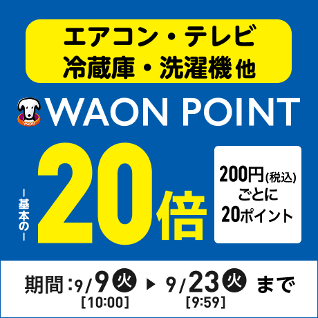 サマーセール！　31日まで！エンビロン　DFⅡ イオンザイム　部品取りに A－ブーストセラム | environ.jp