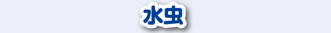 水虫