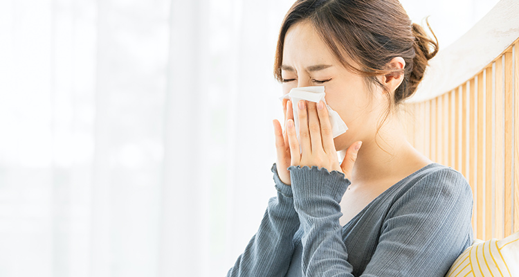 アレルギー・鼻炎のイメージSP画像