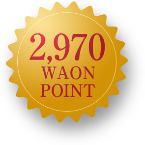 2970 WAON POINT