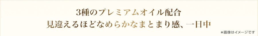3種のプレミアムオイル配合 見違えるほどなめらかなまとまり感、一日中　*画像はイメージです
