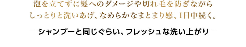 泡を立てずに髪へのダメージや切れ毛を防ぎながらしっとりと洗いあげ、なめらかなまとまり感、1日中続く。　シャンプーと同じくらい、フレッシュな洗い上がり