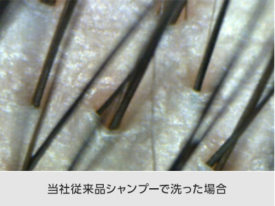 当社従来品シャンプーで洗った場合