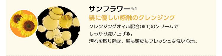 サンフラワー※1　髪に優しい感触のクレンジング　クレジングオイル配合※1のクリームでしっかり洗い上げる。汚れを取り除き、髪も頭皮もフレッシュな洗い心地。