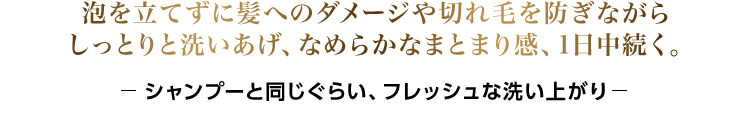 泡を立てずに髪へのダメージや切れ毛を防ぎながらしっとりと洗いあげ、なめらかなまとまり感、1日中続く。　シャンプーと同じくらい、フレッシュな洗い上がり