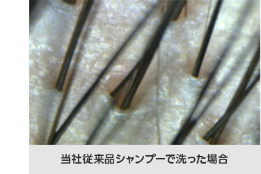 当社従来品シャンプーで洗った場合