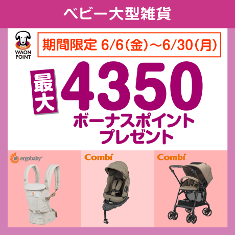 WAONボーナスポイントプレゼント（大型雑貨）
