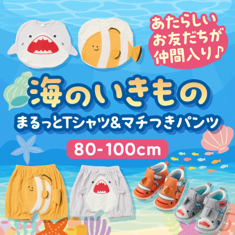 海のいきもの