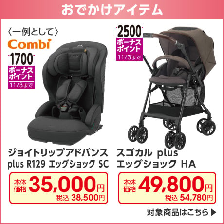 おでかけアイテム