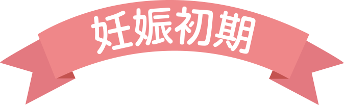 妊娠初期