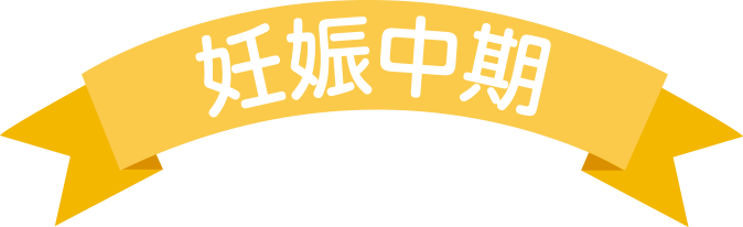 妊娠中期