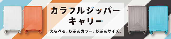 カラフルジッパーキャリー
