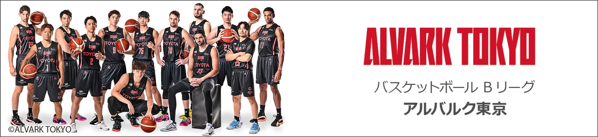 プローバスケットチーム(Bリーグ)アルバルク東京