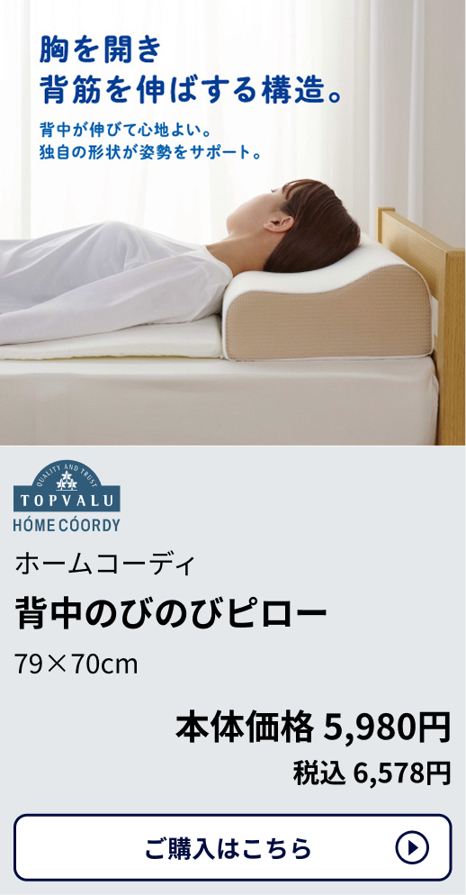 ホームコーディ 背中のびのびピロー 79×70cm 本体価格5,980円 税込6,578円 ご購入はこちらから