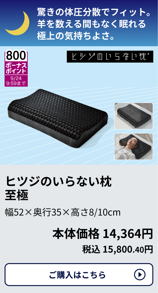 800ボーナスポイント 9/24 9:59まで ヒツジのいらない枕 至極 幅52×奥行35×高さ8/10cm 本体価格14,364円 税込15,800.40円 ご購入はこちらから