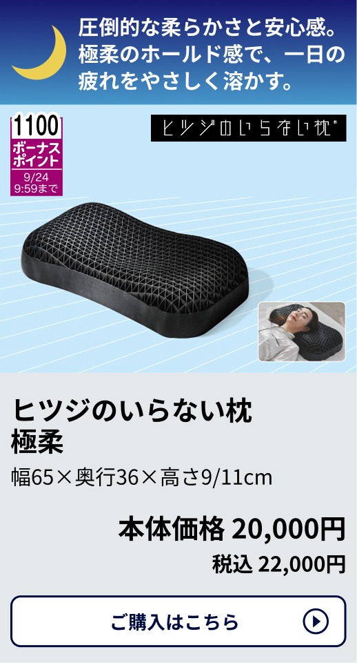 1,100ボーナスポイント 9/24 9:59まで ヒツジのいらない枕 極柔 幅65×奥行36×高さ9/11cm 本体価格20,000円 税込22,000円 ご購入はこちらから