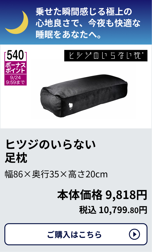 540ボーナスポイント 9/24 9:59まで ヒツジのいらない足枕 幅86×奥行35×高さ20cm 本体価格9,818円 税込 10,799.80円 ご購入はこちらから