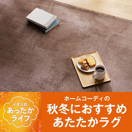 ホームコーディの秋冬におすすめあたたかラグ