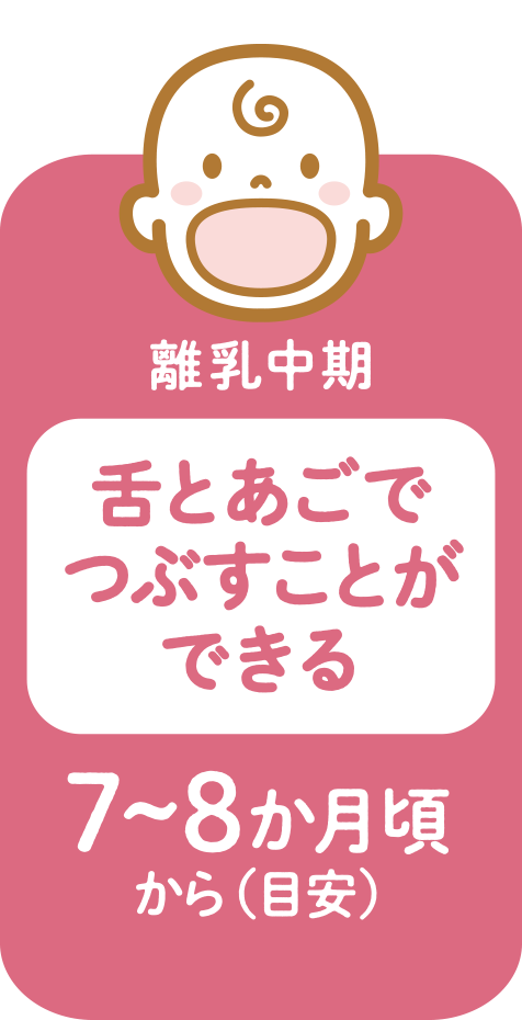 離乳中期