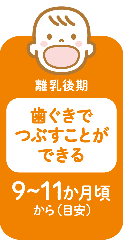 離乳後期
