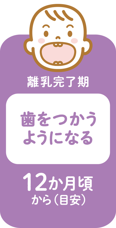 離乳完了期