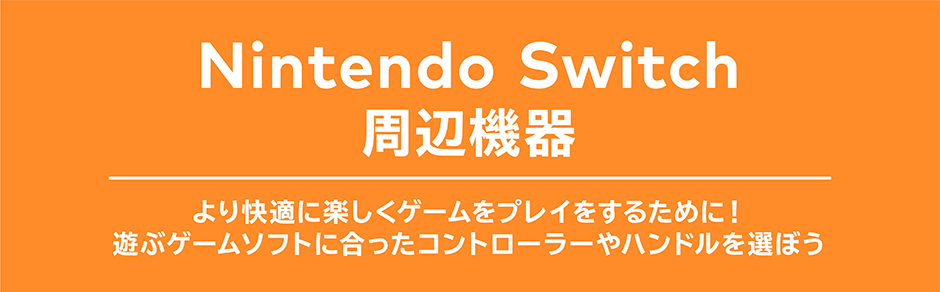 Nintendo Switch 周辺機器