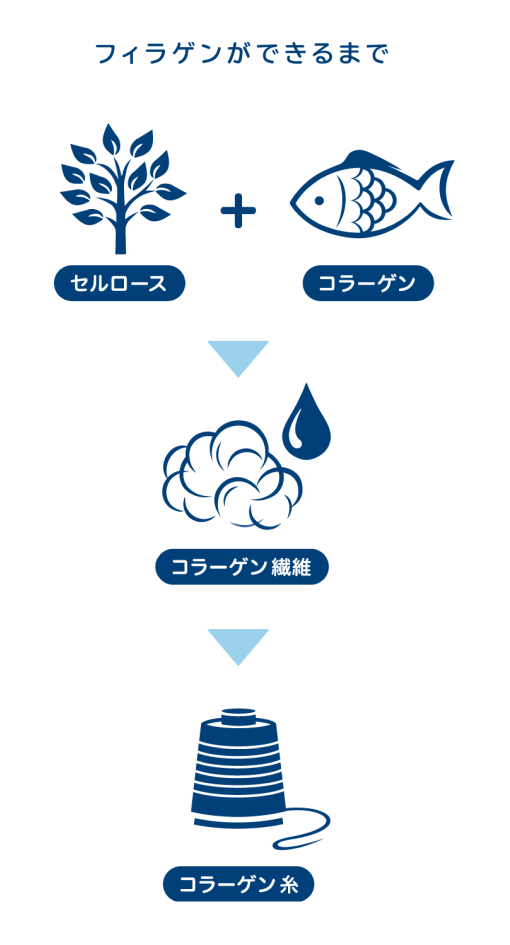 フィラゲンができるまで
					