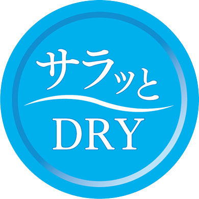 サラッとDRY