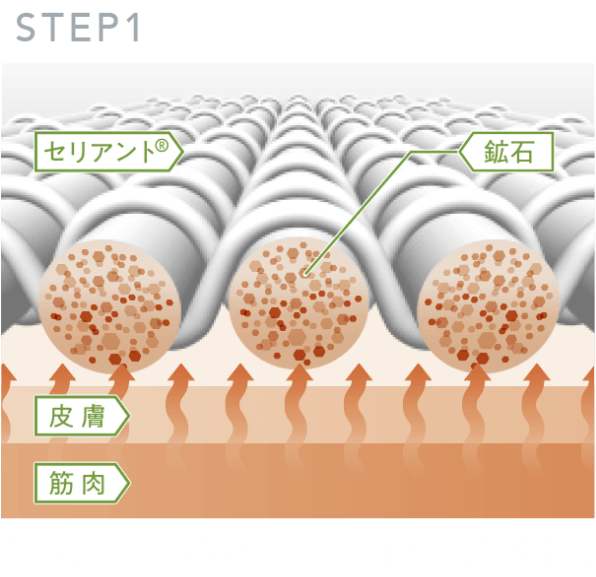 STEP1.人体からの体熱をセリアント®繊維が吸収