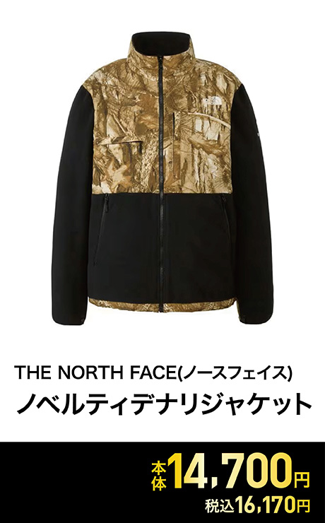 THE NORTH FACE(ノースフェイス) ノベルティデナリジャケット