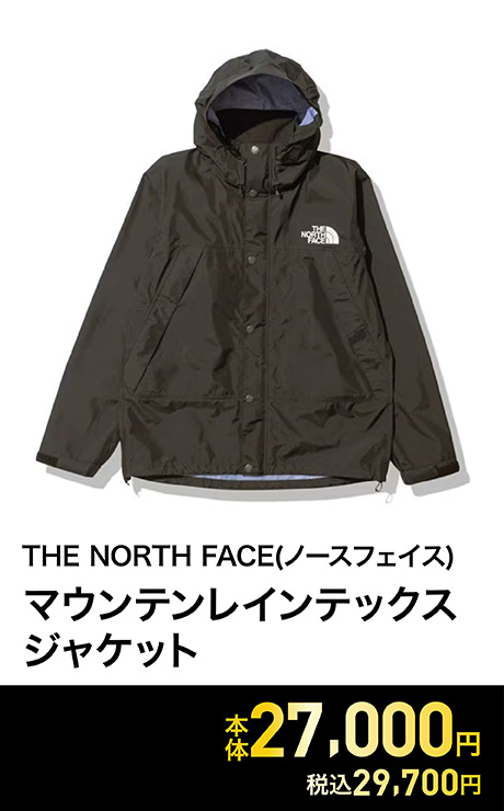 THE NORTH FACE(ノースフェイス) マウンテンレインテックスジャケット