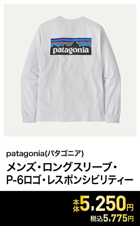 patagonia(パタゴニア) メンズ・ロングスリーブ・P-6ロゴ・レスポンシビリティー<06 V従販>