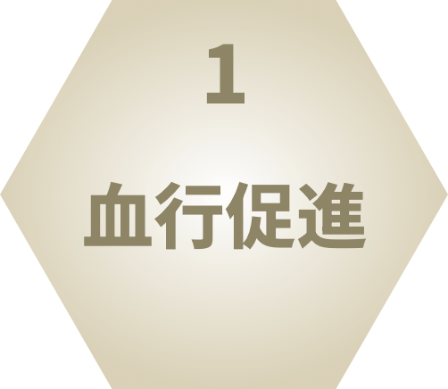 1.血行促進