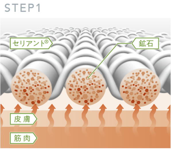 STEP1.人体からの体熱をセリアント®遷移が吸収
