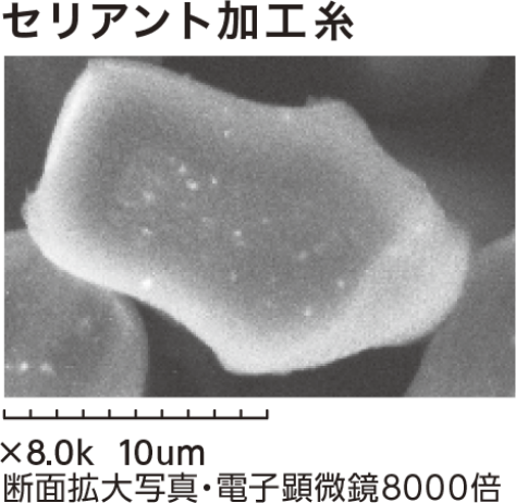 セリアント加工系