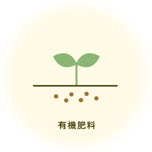 オーガニックコットンができるまで（1）