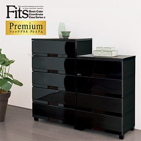 Fits Premium