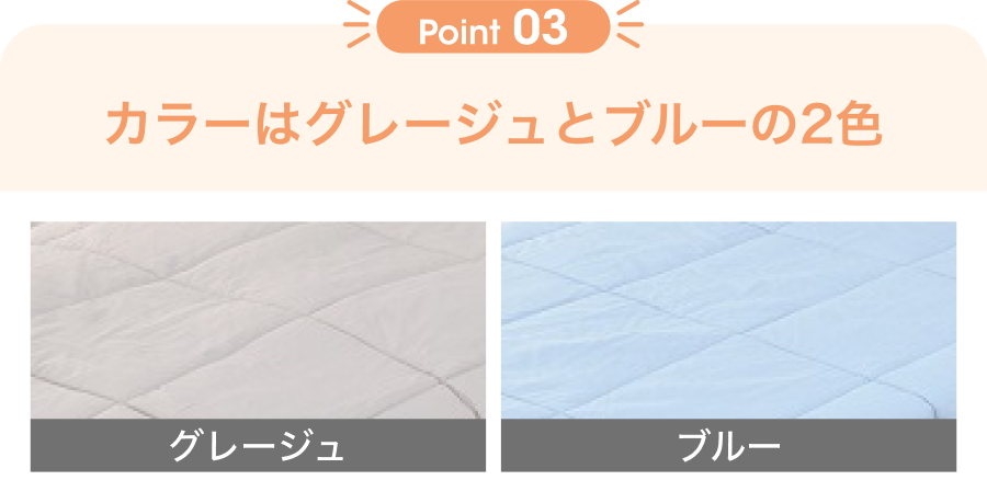 Point03 カラーはグレージュとブルーの2色