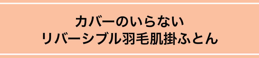 カバーのいらいない リバーシブル羽毛肌掛ふとん