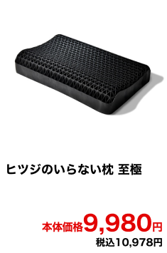 ヒツジのいらない枕 至極 本体価格9,980円 税込10,978円