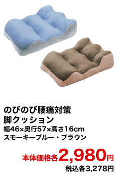 のびのび腰痛対策脚クッション 幅46×奥行57×高さ16cm スモーキーブルー・ブラウン 本体価格各2,980円 税込各3,278円