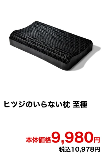 ヒツジのいらない枕 至極 本体価格9,980円 税込10,978円