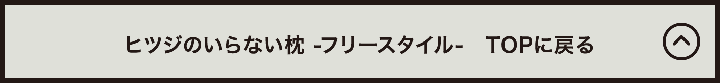 ヒツジのいらない枕 フリースタイル TOPに戻る