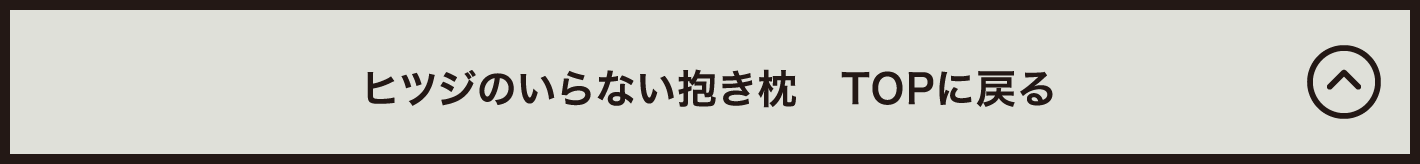 ヒツジのいらない抱き枕 TOPに戻る