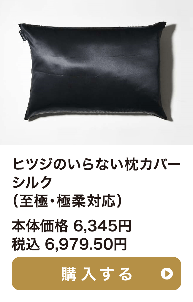 ブラックレーベル枕カバーシルク(ヒツジのいらない枕 至極・極柔対応対応) 本体価格 6,345円 税込 6,979.50円 ご購入はこちらから