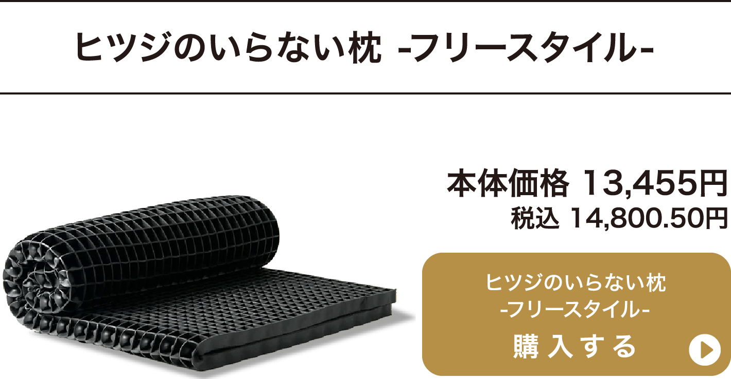 ヒツジのいらない枕 フリースタイル 本体価格 13,455円 税込 14,800.50円 ご購入はこちらから