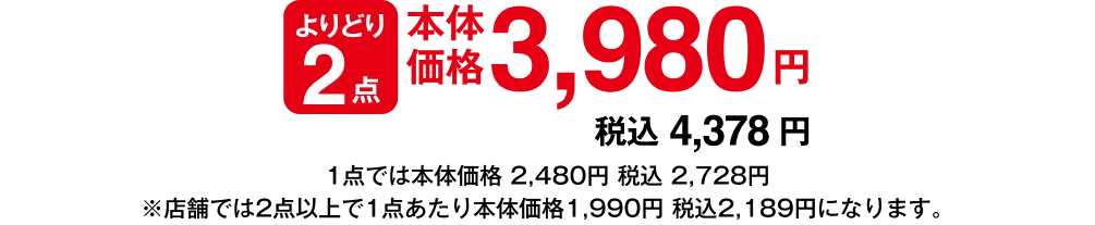 よりどり2点 本体価格3,980円 税込4,378円