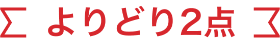よりどり2点