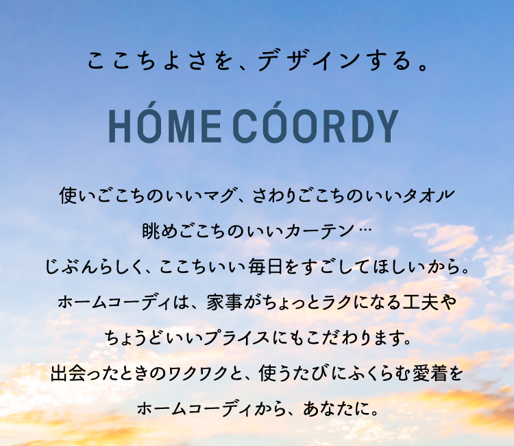 HOME COORDY SP画像