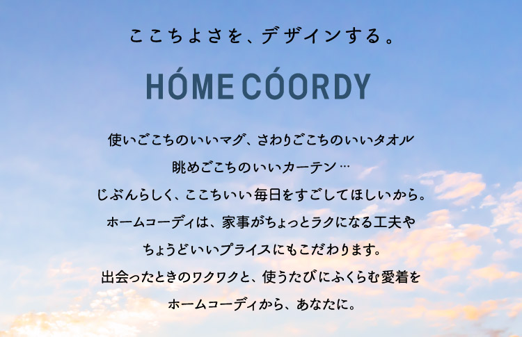 HOME COORDY SP画像